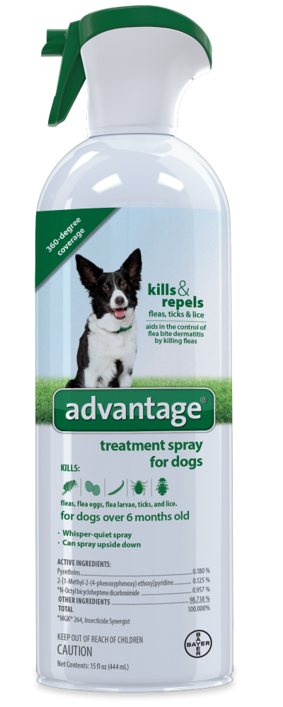 Bayer flea and tick spray clearance