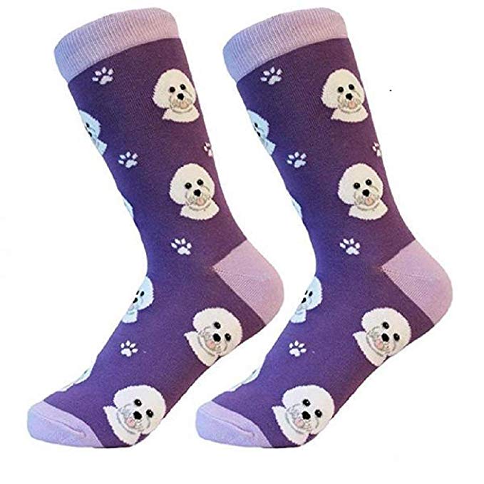 Sock Daddy Breed Socks, Bichon Frise