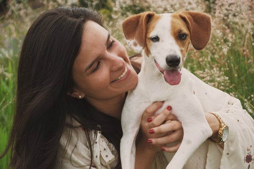 Grooming Your Dog