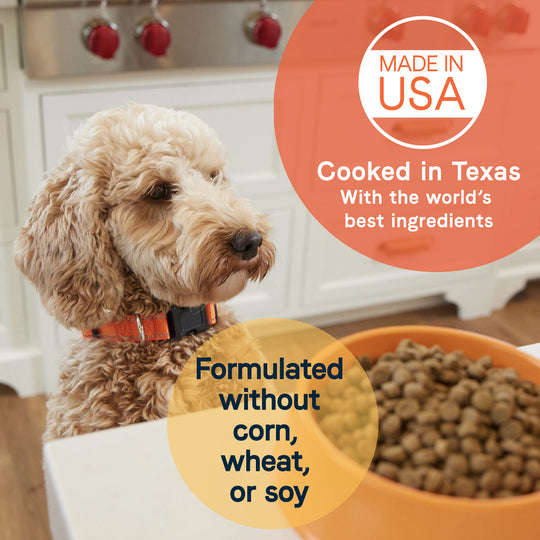 Canidae All Life Stages Lamb Meal and Brown Rice Formula Dry Dog Food