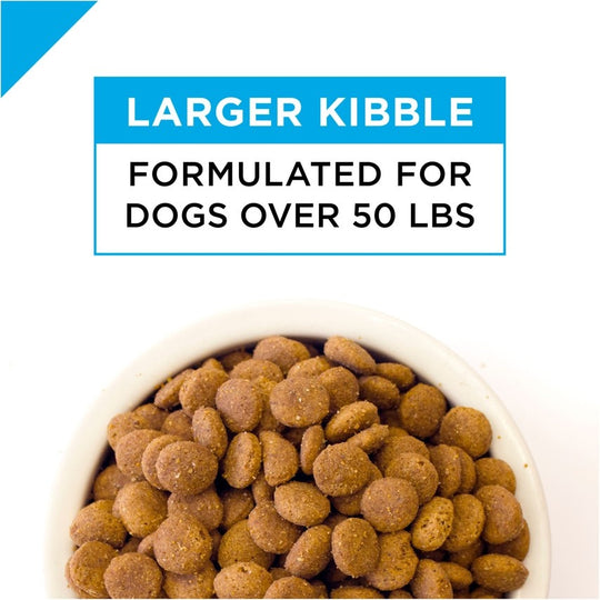 Purina Pro Plan Adult Large Breed Chicken & Rice Formula