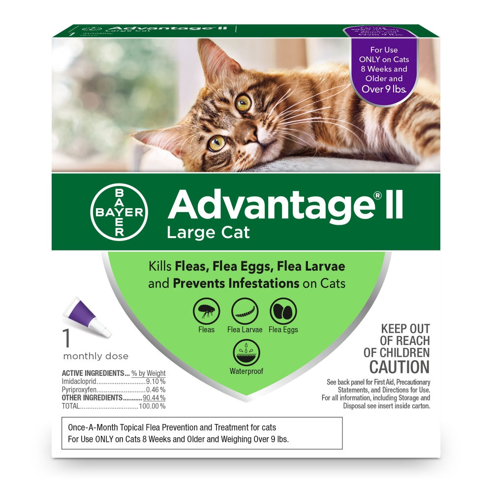 Elanco Advantage II Large Cat