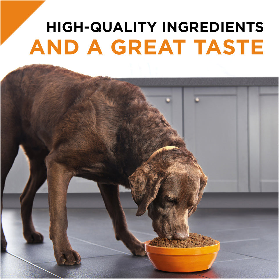 Savor dog food hotsell
