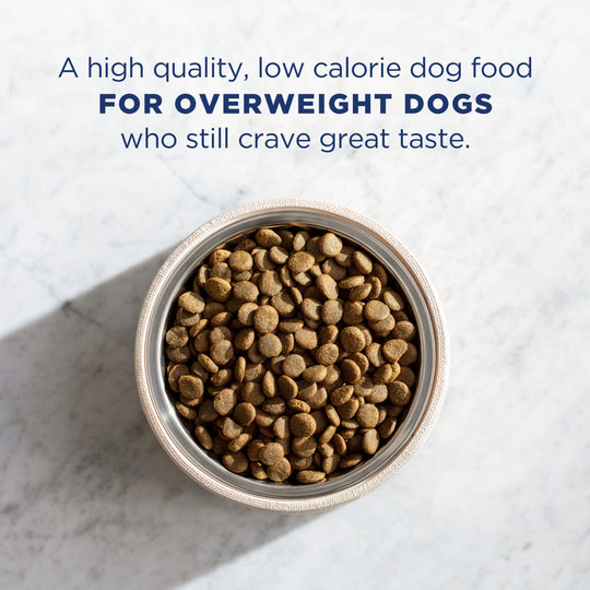 Natural Balance Fat Dogs Low Calorie Dry Dog Food
