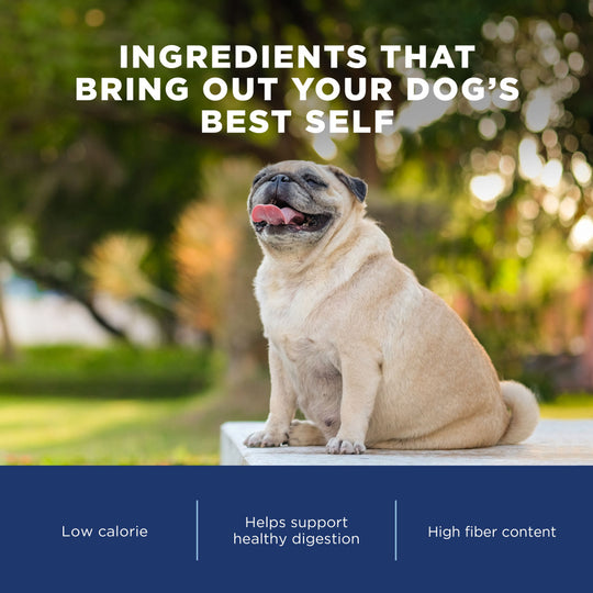 Natural Balance Fat Dogs Low Calorie Dry Dog Food