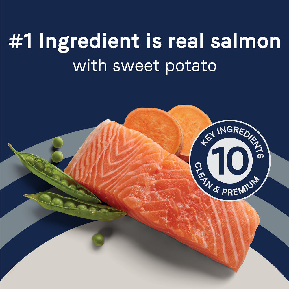 Canidae Grain Free PURE Salmon & Sweet Potato Recipe Dry Dog Food