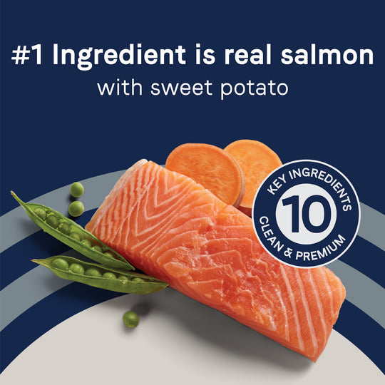 Canidae Grain Free PURE Salmon & Sweet Potato Recipe Dry Dog Food