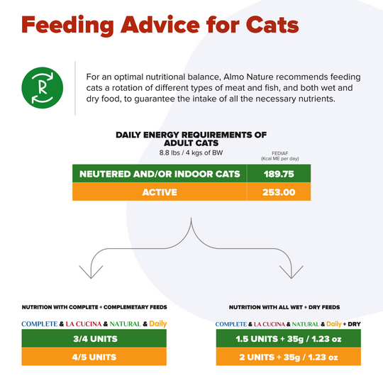 Almo Nature HQS Natural Cat Grain Free Salmon and Chicken In Broth Canned Cat Food