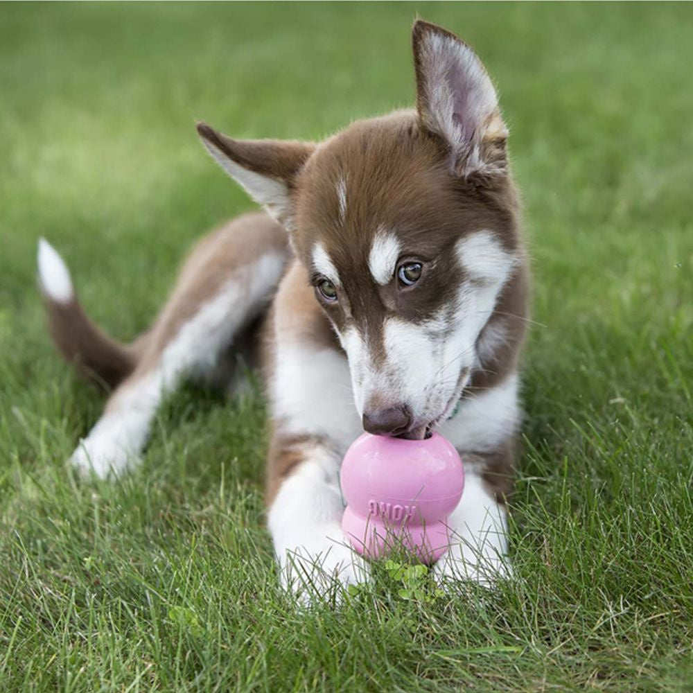 KONG Puppy Easy Treat