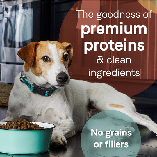 Canidae Grain Free PURE Puppy Chicken, Lentil & Whole Egg Recipe Dry Dog Food