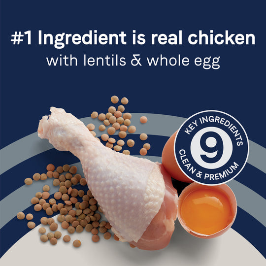 Canidae Grain Free PURE Puppy Chicken, Lentil & Whole Egg Recipe Dry Dog Food