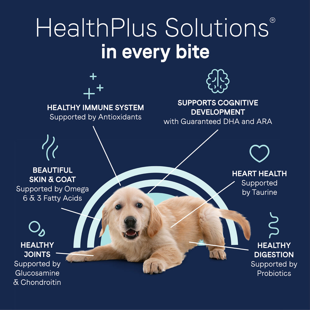 Canidae Grain Free PURE Puppy Chicken, Lentil & Whole Egg Recipe Dry Dog Food