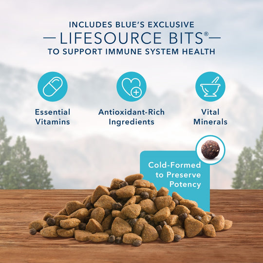 Blue Buffalo Wilderness High Protein Salmon Recipe Large Breed Dry Dog Food