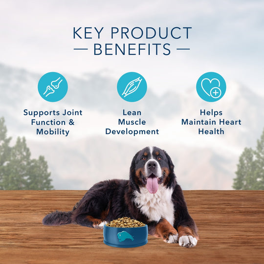 Blue Buffalo Wilderness High Protein Salmon Recipe Large Breed Dry Dog Food