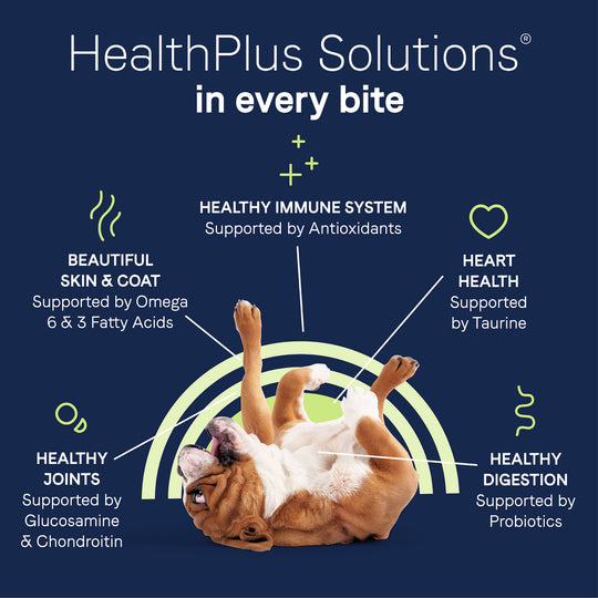 Canidae Grain Free PURE Healthy Weight Chicken & Pea Recipe Dry Dog Food