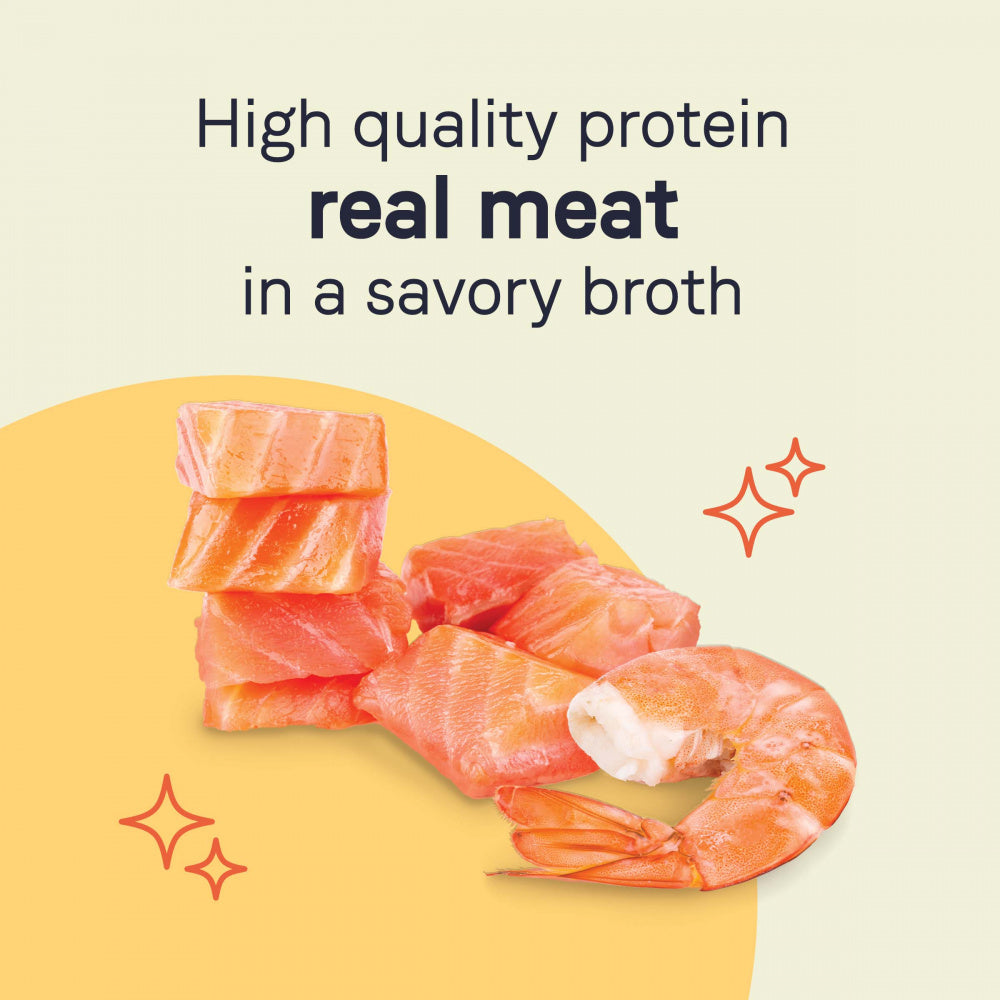 Canidae Grain Free PURE Petite Small Breed Escalloped Style Dinner Pate with Salmon and Shrimp Wet Dog Food