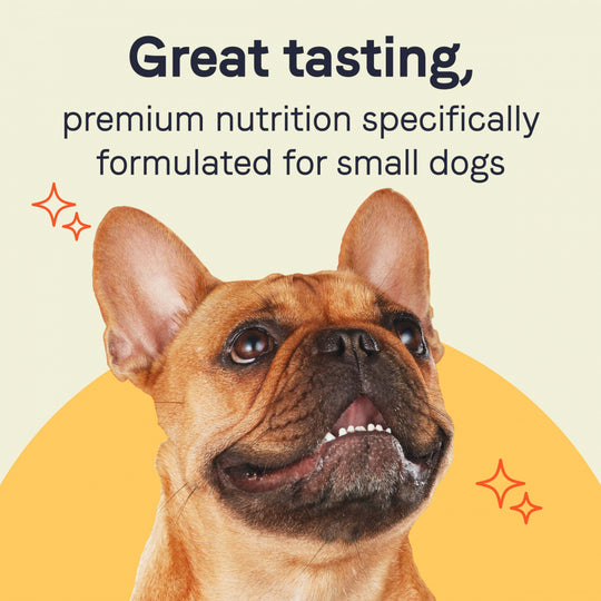 Canidae Grain Free PURE Petite Small Breed Escalloped Style Dinner Pate with Salmon and Shrimp Wet Dog Food