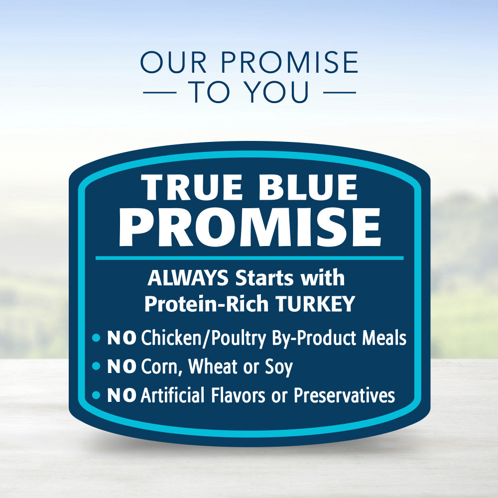 Blue Buffalo Blue Delights for Small Breed Dogs Roasted Turkey Flavor Pate Wet Food