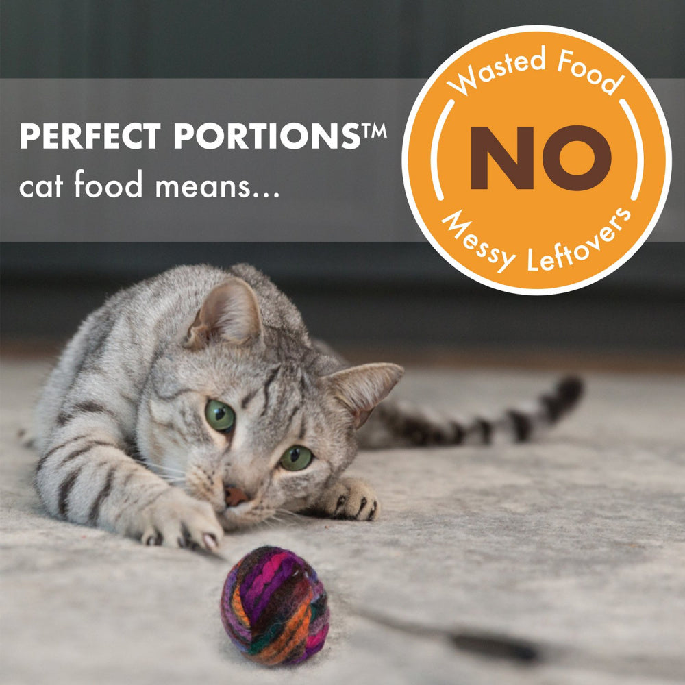 Nutro Perfect Portions Adult Grain Free Turkey & Liver Pate Wet Cat Food Trays