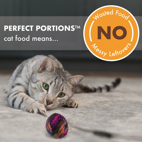Nutro Perfect Portions Grain Free Cuts In Gravy Real Turkey Recipe Wet Cat Food Trays