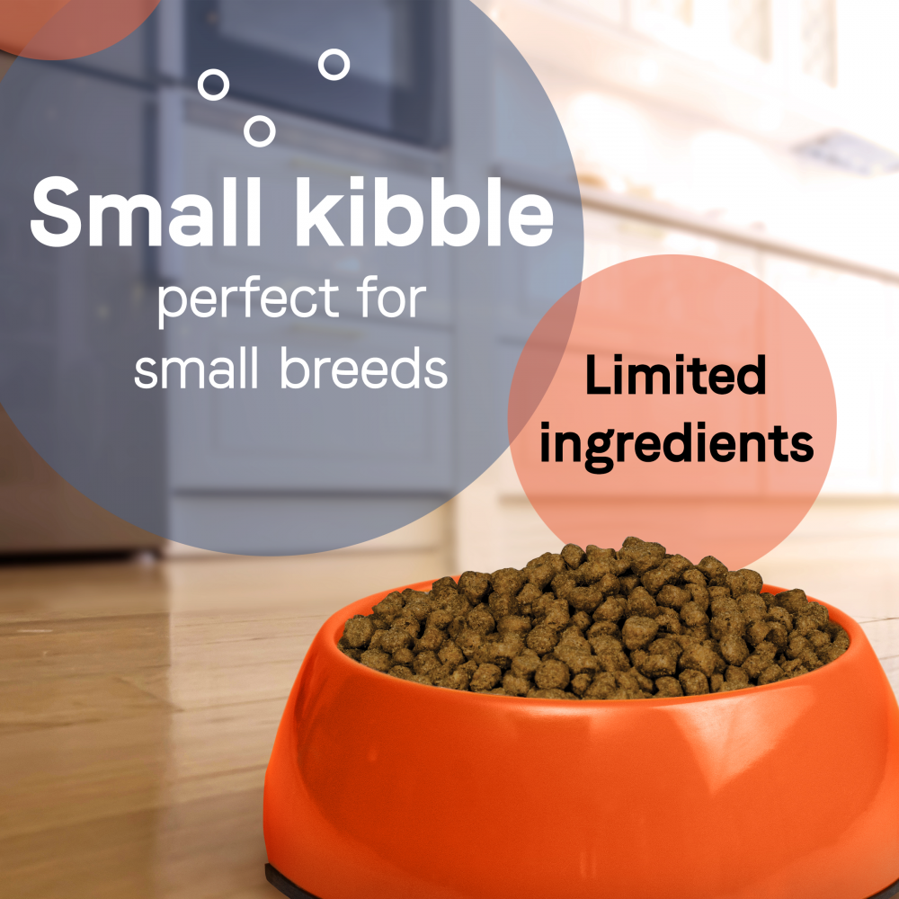 Canidae PURE Petite Small Breed Puppy Salmon Recipe Raw Coated Dry Dog Pet Go Round
