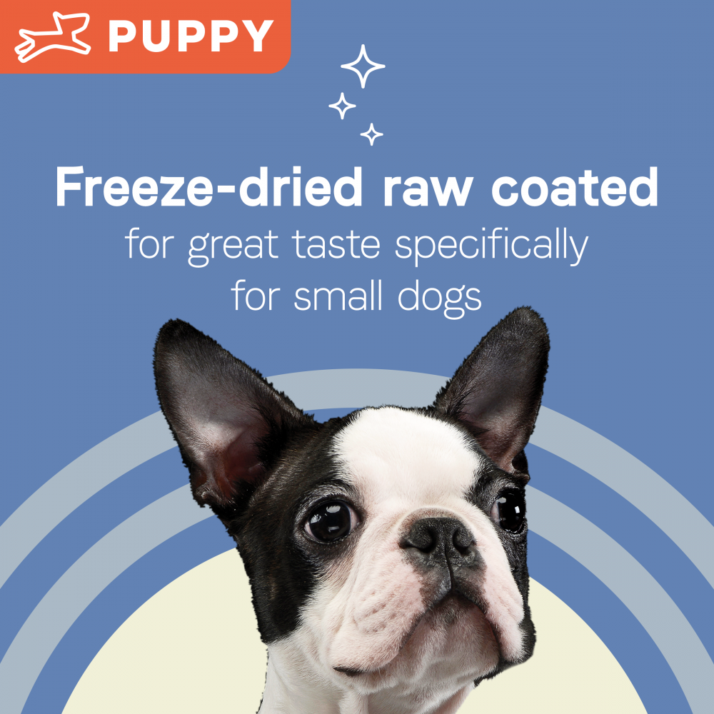 Canidae dog shop food raw coated