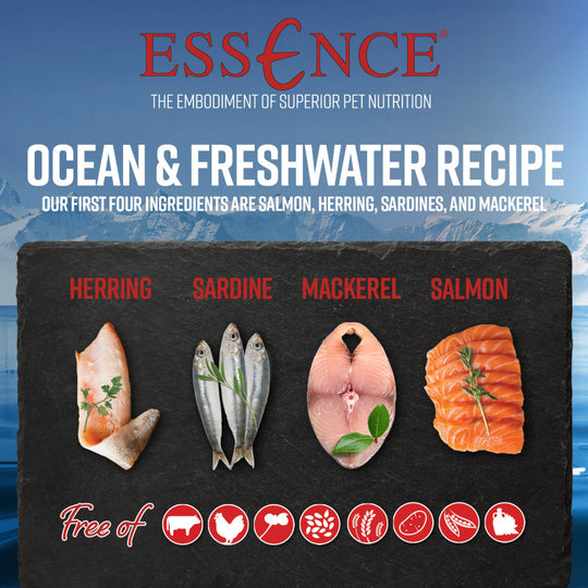 Essence Grain Free Ocean & Freshwater Recipe Dry Cat Food