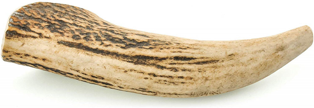 Barkworthies Whole Elk Antler Dog Chew for Large Breed Dogs