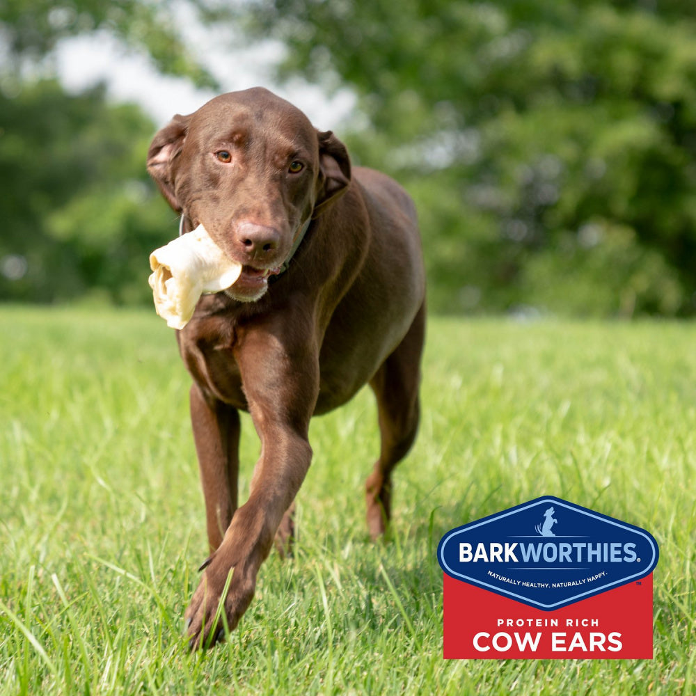 Barkworthies Cow Ears Dog Chews