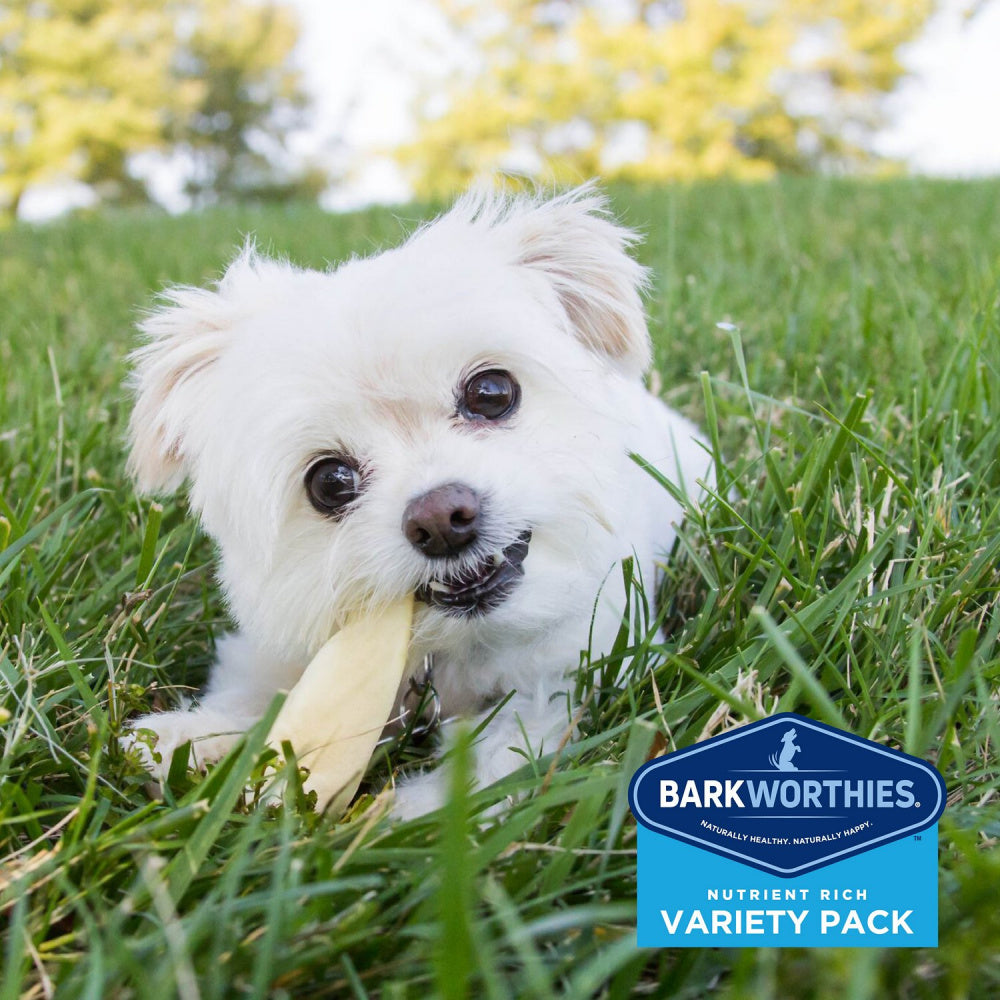Barkworthies Dog Chew Variety Pack for Puppies & Small Breeds