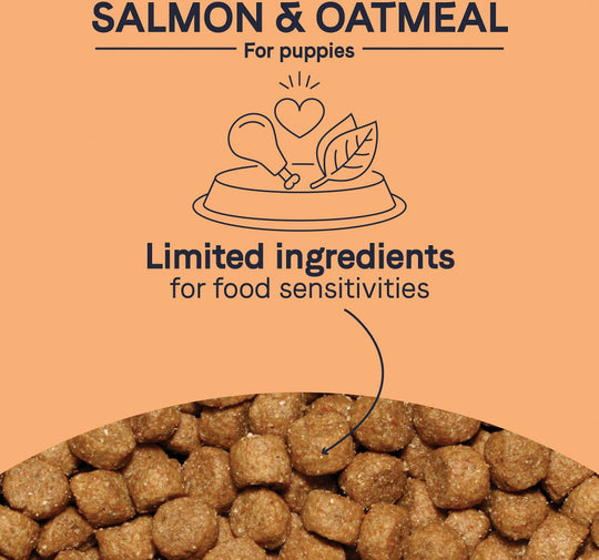 Canidae Pure with Grains Real Salmon & Oatmeal Recipe Puppy Dry Dog Food