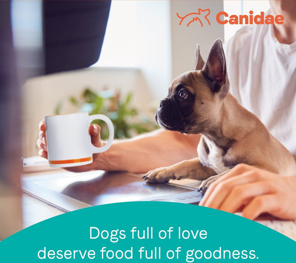 Canidae Pure with Grains Real Salmon & Oatmeal Recipe Puppy Dry Dog Food