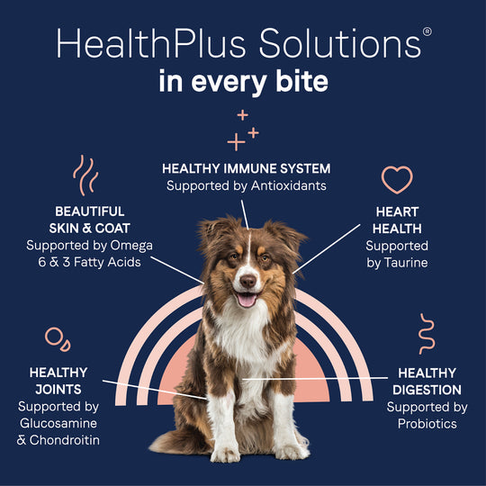 Canidae Pure with Grains Real Beef & Barley Recipe Dry Dog Food