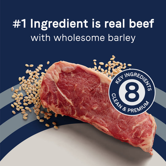 Canidae Pure with Grains Real Beef & Barley Recipe Dry Dog Food