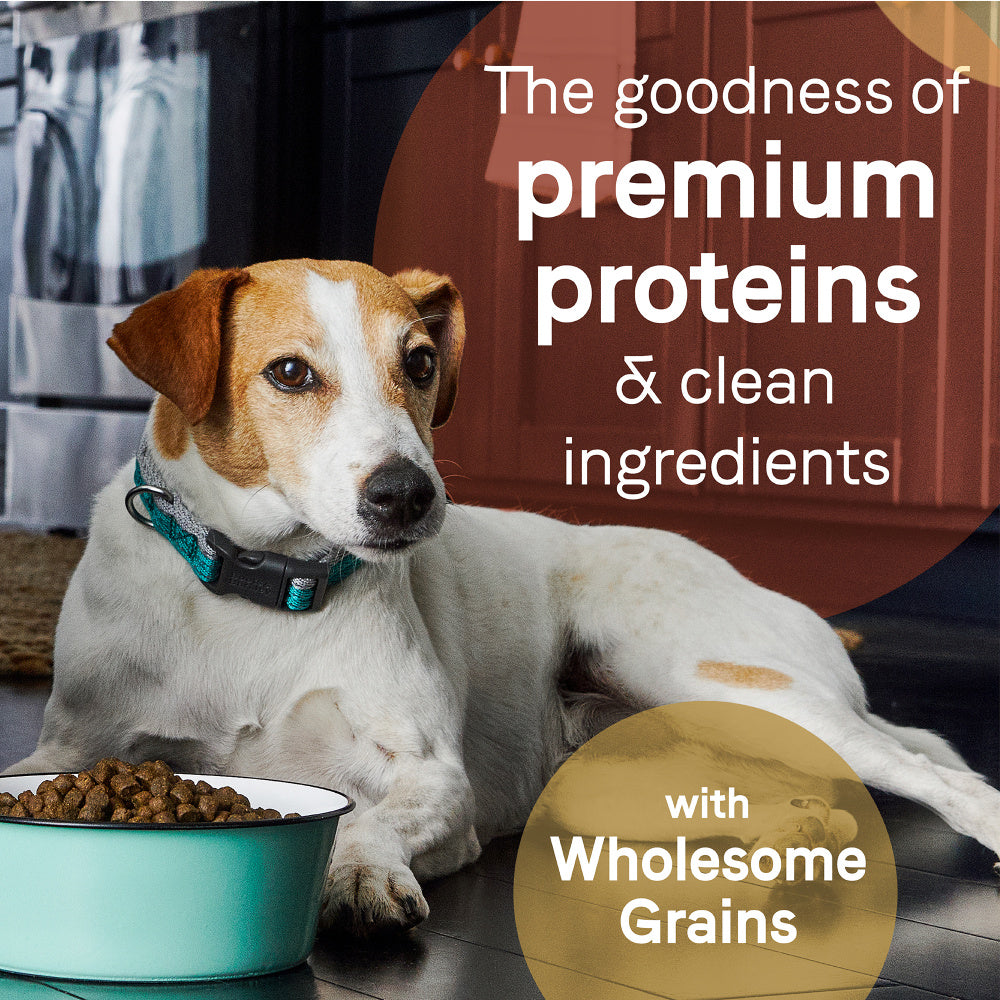 Canidae Pure with Grains Real Beef & Barley Recipe Dry Dog Food