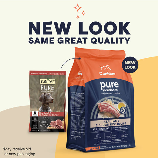 Canidae Pure with Grains Real Lamb & Brown Rice Recipe Dry Dog Food