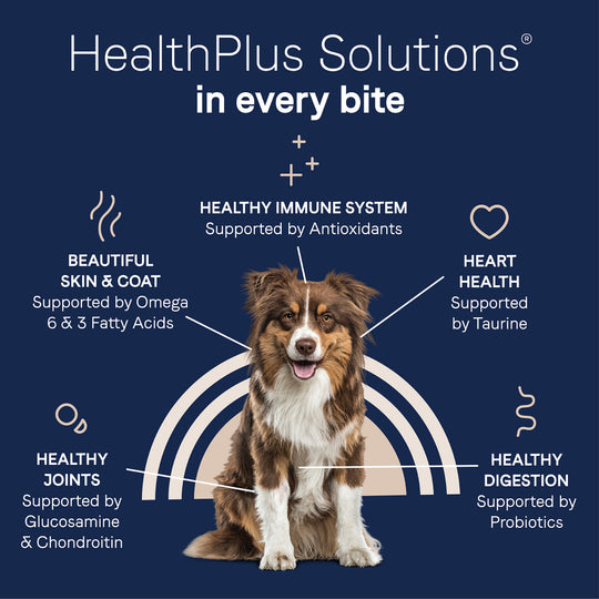 Canidae Pure with Grains Real Lamb & Brown Rice Recipe Dry Dog Food