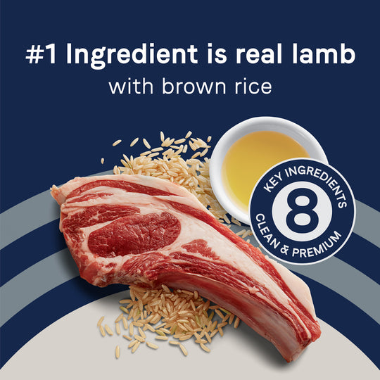 Canidae Pure with Grains Real Lamb & Brown Rice Recipe Dry Dog Food
