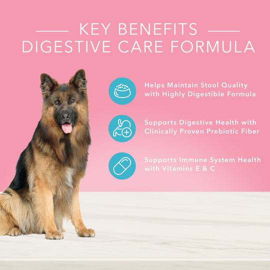 Blue Buffalo True Solutions Blissful Belly Digestive Care Formula Chicken Recipe Adult Dry Dog Food