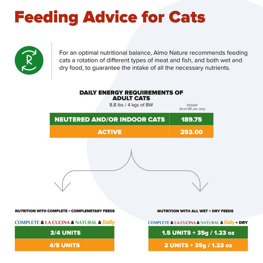 Almo Nature HQS Complete Cat Grain Free Chicken with Zucchini In Gravy Canned Cat Food