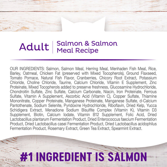 Wellness Complete Health Adult Health Salmon & Salmon Meal Recipe Dry Cat Food
