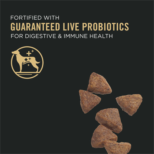 Purina Pro Plan Sensitive Skin & Sensitive Stomach Lamb & Oat Meal Formula Dry Dog Food