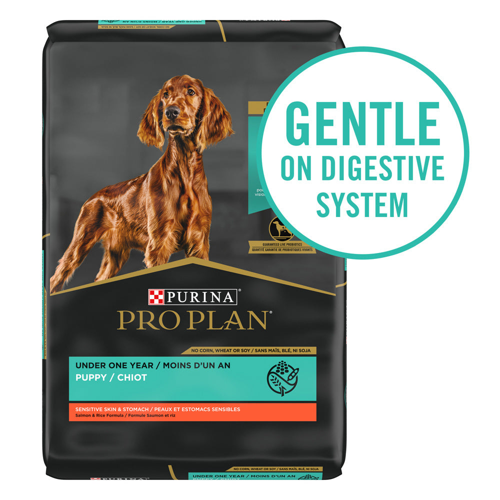 Purina Pro Plan Sensitive Stomach Sensitive Skin & Stomach Salmon & Rice Formula Dry Puppy Food