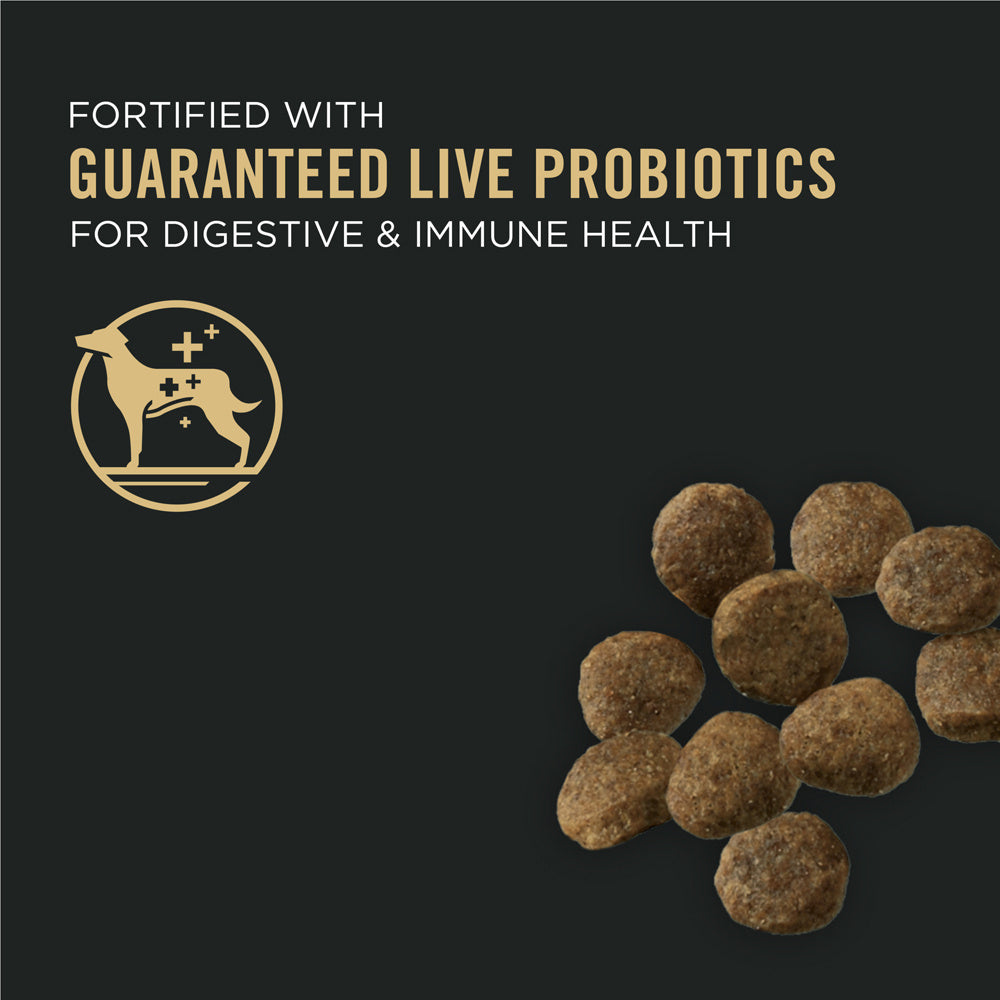 Purina Pro Plan Sensitive Stomach Sensitive Skin & Stomach Salmon & Rice Formula Dry Puppy Food