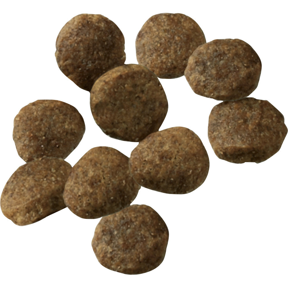 Purina Pro Plan Sensitive Stomach Sensitive Skin & Stomach Salmon & Rice Formula Dry Puppy Food