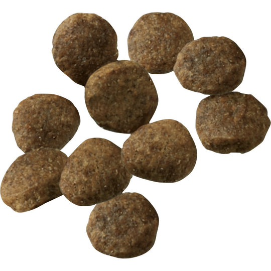 Purina Pro Plan Sensitive Stomach Sensitive Skin & Stomach Salmon & Rice Formula Dry Puppy Food