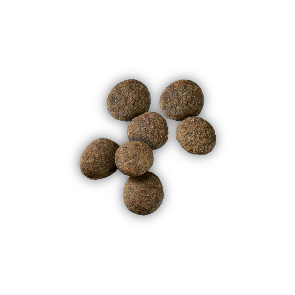 Pro Plan Sensitive Skin & Stomach Salmon & Rice Large Breed Probiotic Dry Puppy Food