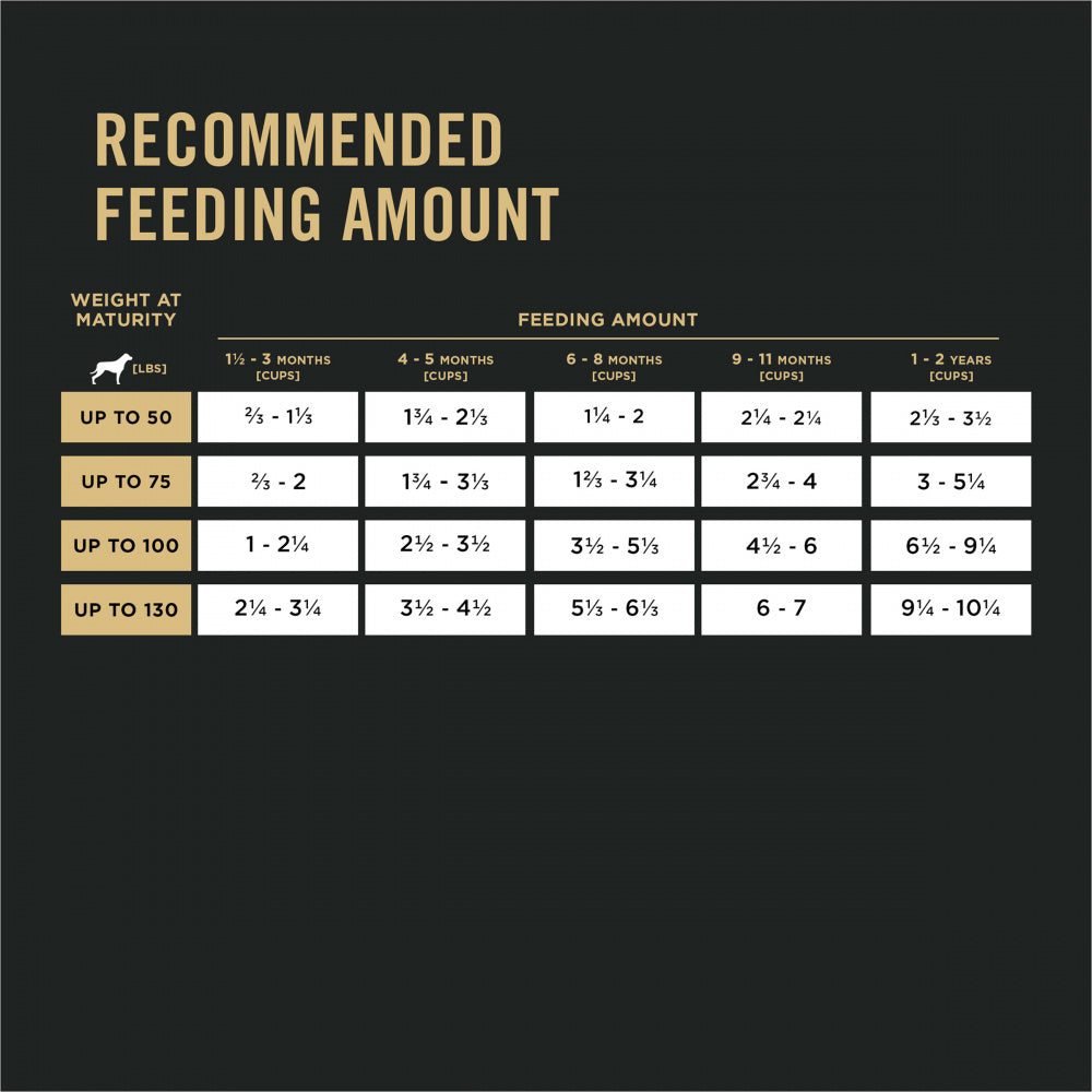 Pro Plan Sensitive Skin & Stomach Salmon & Rice Large Breed Probiotic Dry Puppy Food