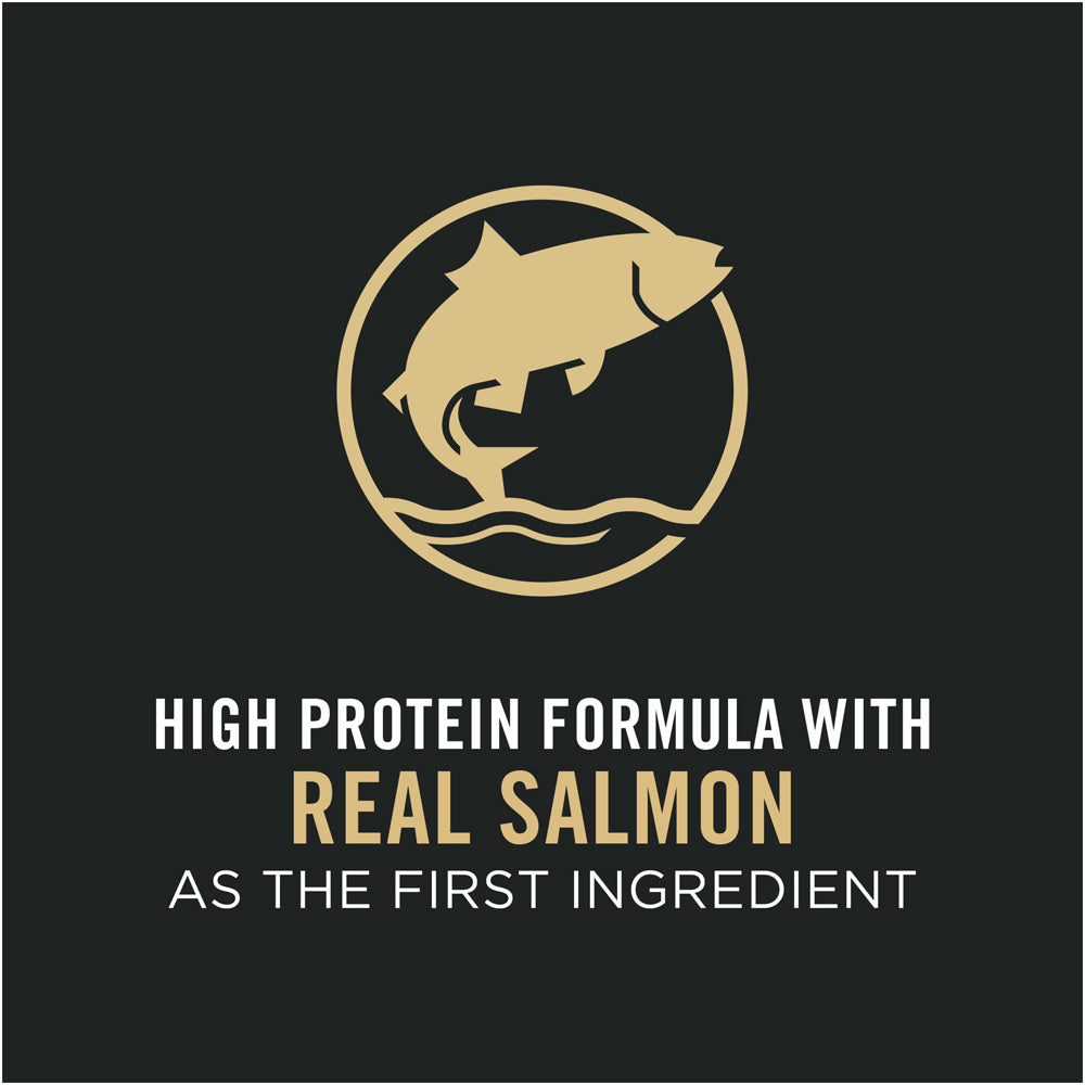Pro Plan Sensitive Skin & Stomach Salmon & Rice Large Breed Probiotic Dry Puppy Food