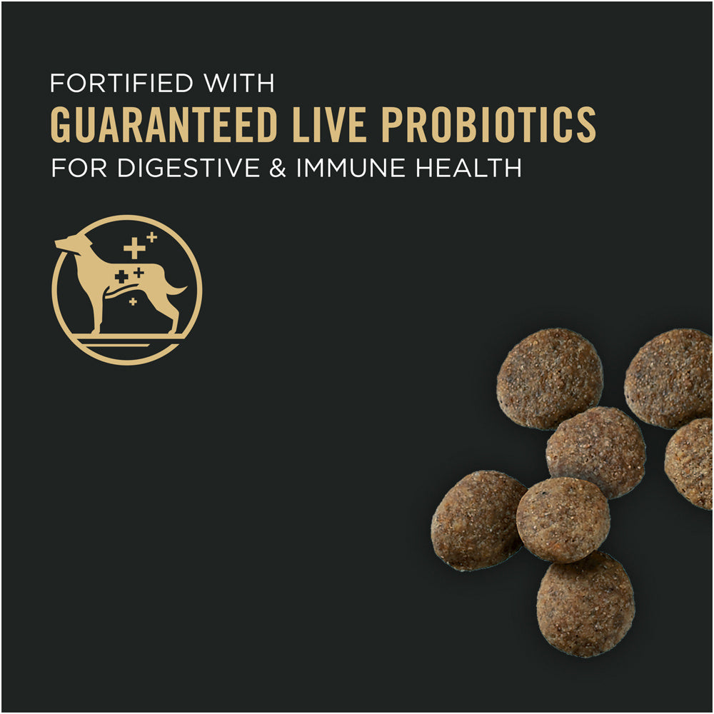 Pro Plan Sensitive Skin & Stomach Salmon & Rice Large Breed Probiotic Dry Puppy Food